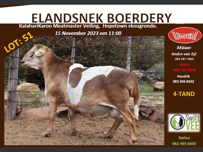 RSL GR173 | ELANDSNEK BOERDERY