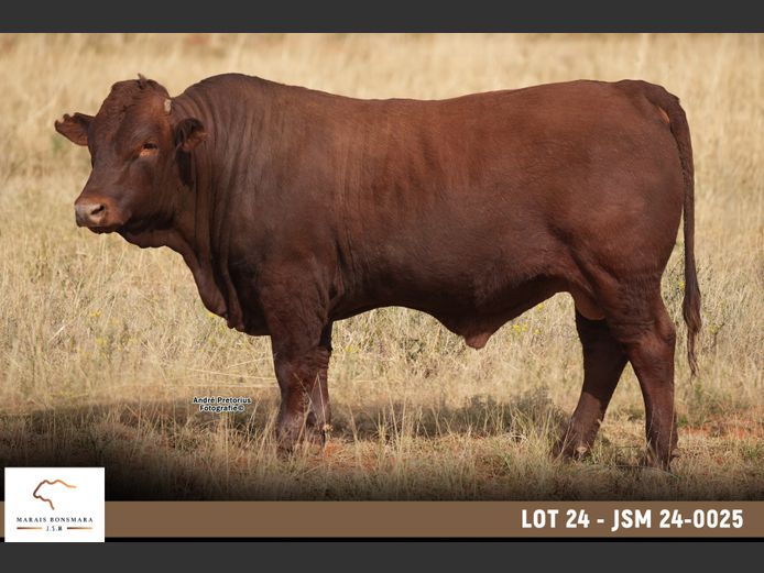 JSM 240025 | MARAIS BONSMARAS