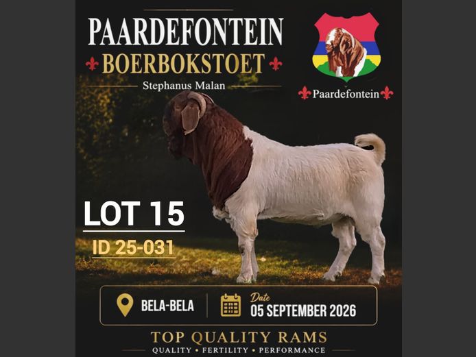 116250037 | PAARDEFONTEIN