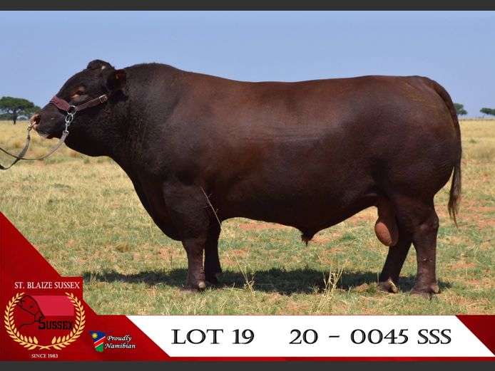 20-0045SSS | ST. BLAIZE SUSSEX 