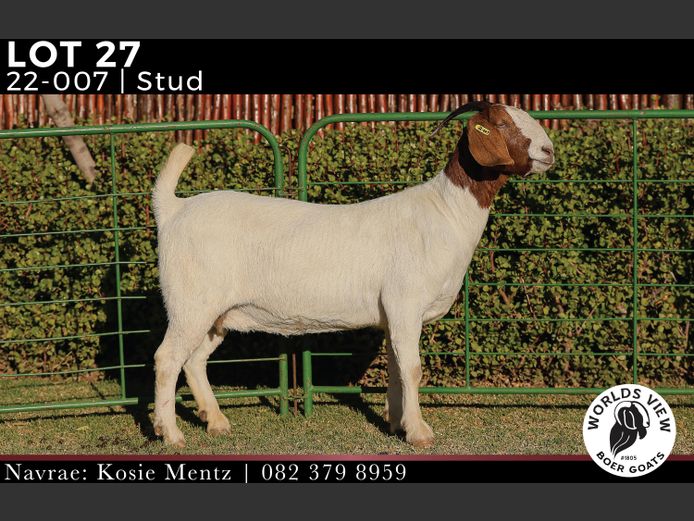 220007 | WORLDS VIEW