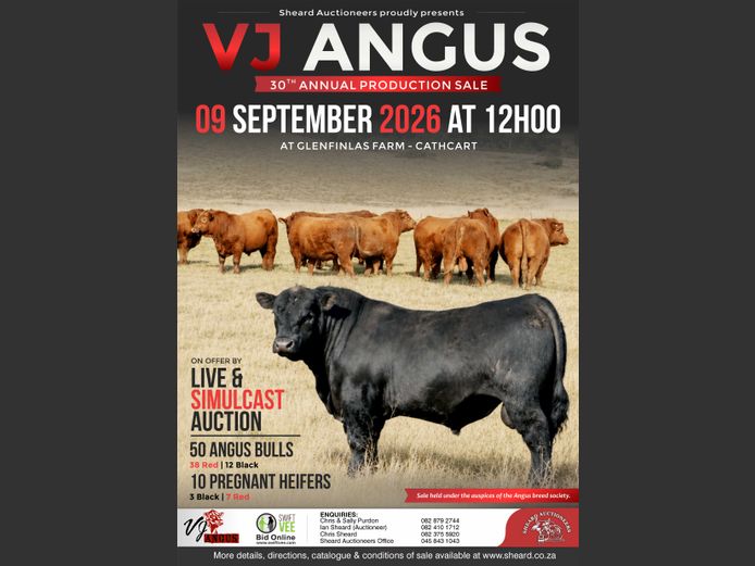 VJ ANGUS 30TH ANNUAL PRODUCTION SALE