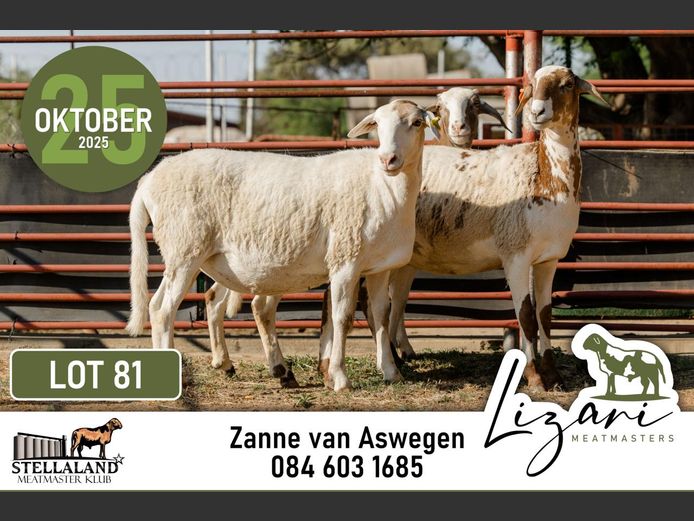 LZG213 | Lizari Meatmasters