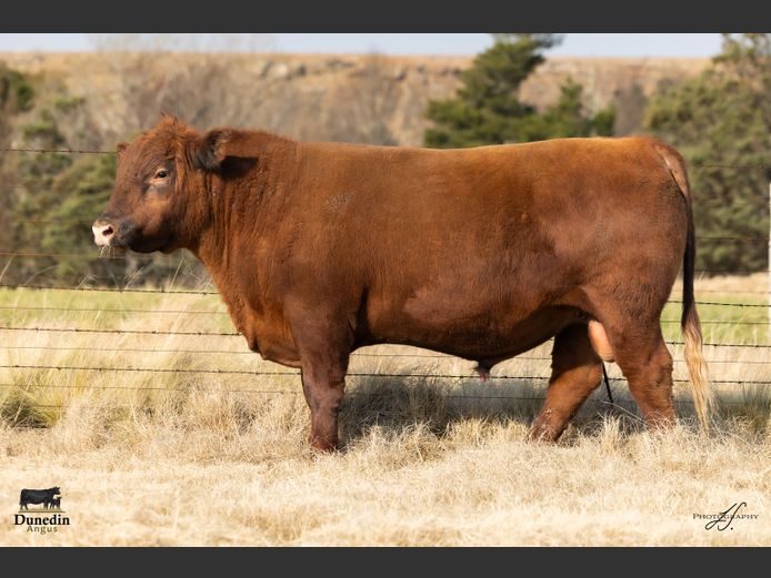 KCM 230039 | TABLE HILL FARMING PTY LTD