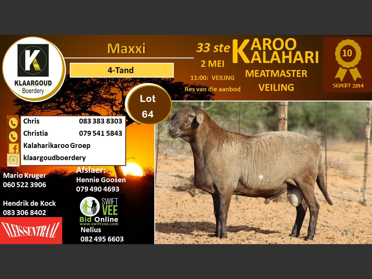 Lot 64 | 33STE KALAHARI KAROO MEATMASTER PRODUKSIEVEILING | SwiftVEE ...