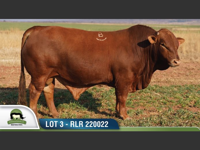 RLR 220022 | RHENOSTERVALLEI