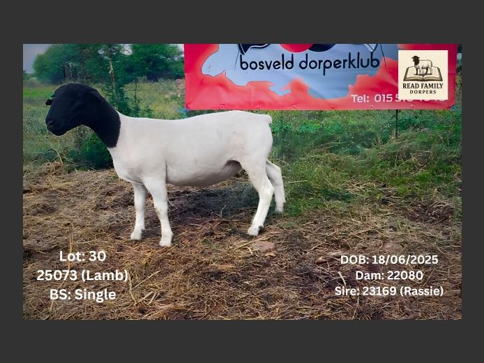 25073 | RAYMOND READ DORPERS