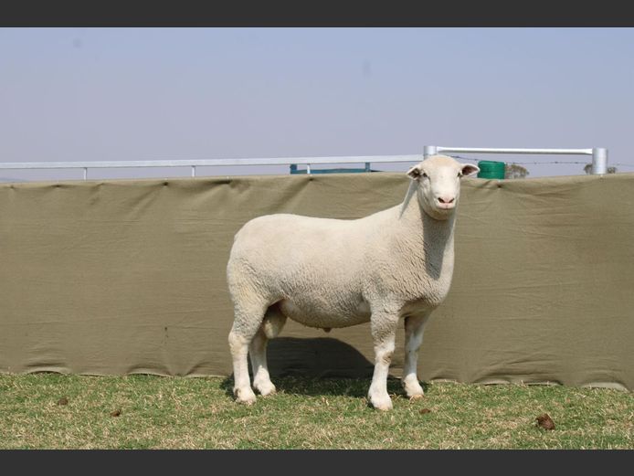 CVM 240075 | KALKVLEY DORMERS