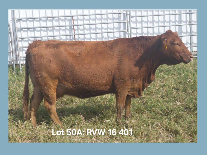 RVW 16 401