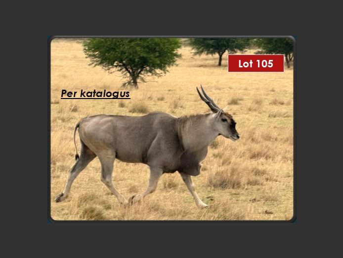 ELAND | LEBENKELE