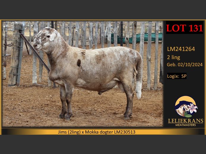 LM241264 | LELIEKRANS MEATMASTERS