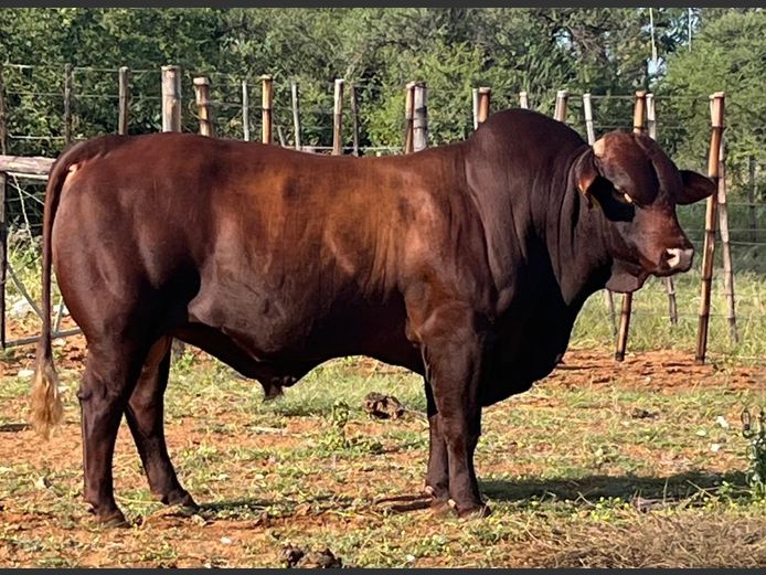 22-0009TDA | A JOOSTE