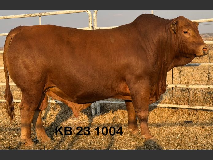 KB231004