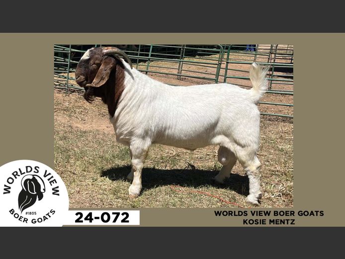 24-072  |  Kosie Mentz - Worlds View