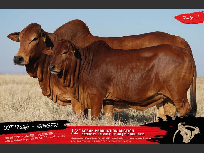 BH 250225 | HURWITZ FARMING