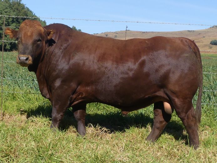 LAR 230394 | UP GEORGE FARMS CC