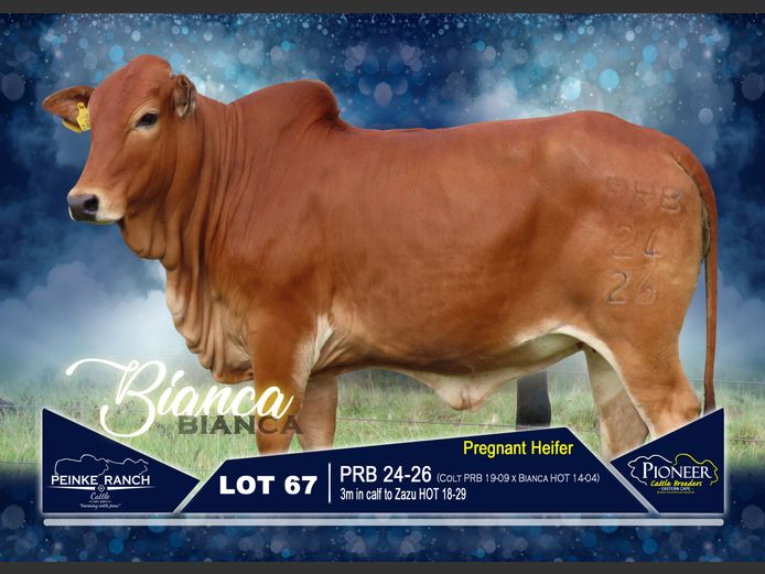 PRB 240026 | PEINKE RANCH