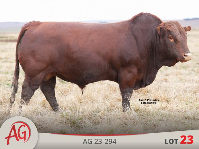 AG230294 | ARTHUR DE VILLIERS & SEUN