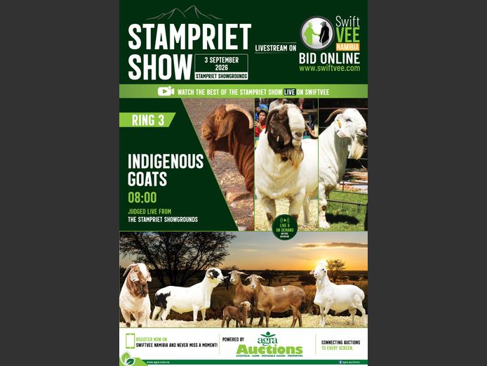 STAMPRIET SHOW RING 3 INDIGENOUS GOATS