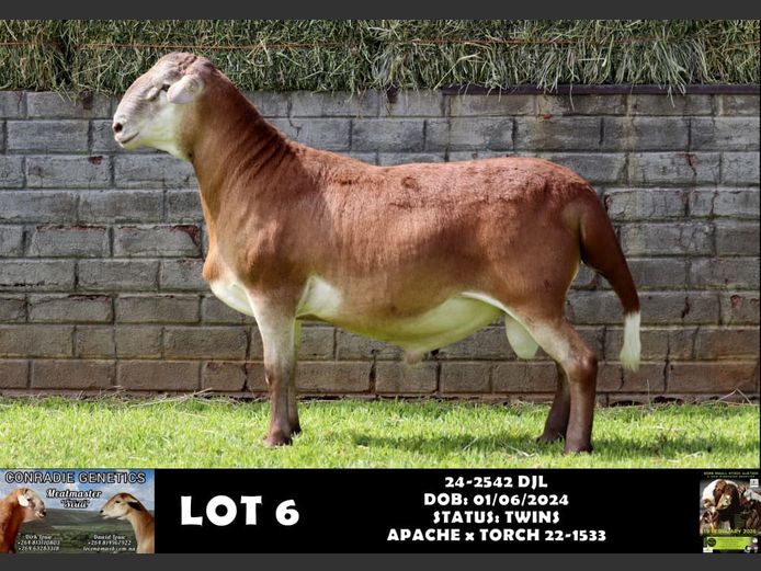 24-2542 DJL | DIRK LOUW