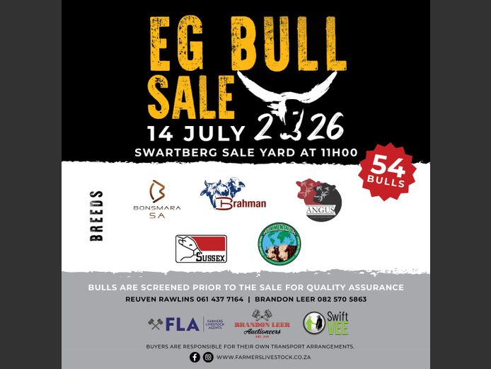 EG BULL SALE 