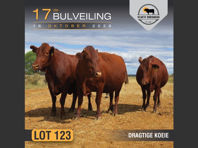 Commercial Animals | Harlou Familie Trust