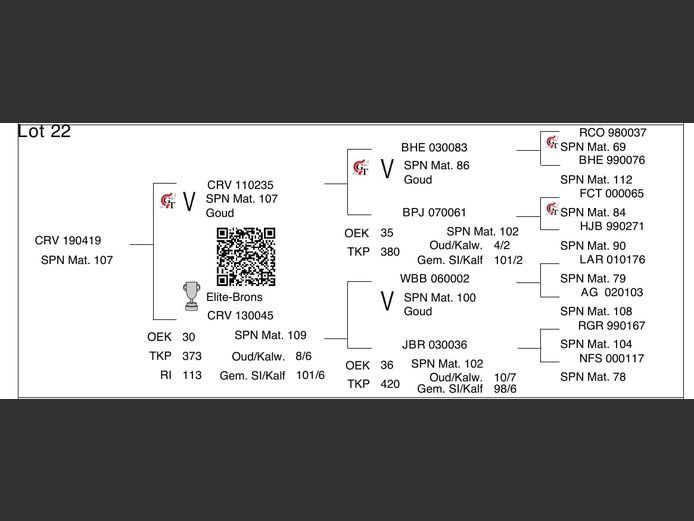 CRV 190419