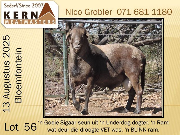 KERN 23 0254 | AANGETEKEN | Nico Grobler - Kern Meatmasters