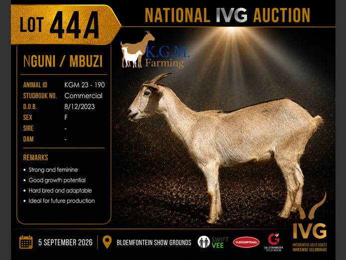 KGM 23-190 | KGM LIVESTOCK