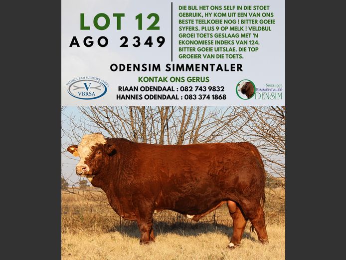 AGO2349 | AG ODENDAAL