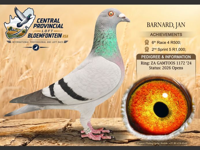 GAMTOOS 1172 2024 | BARNARD, JAN