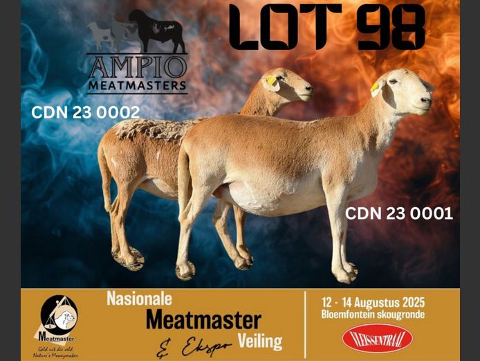 CDN 230001 | AMPIO MEATMASTERS