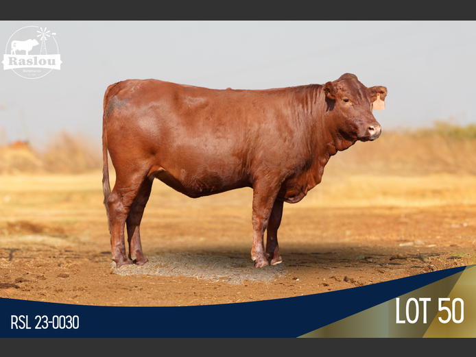 RSL 230030 | RASLOU BONSMARAS