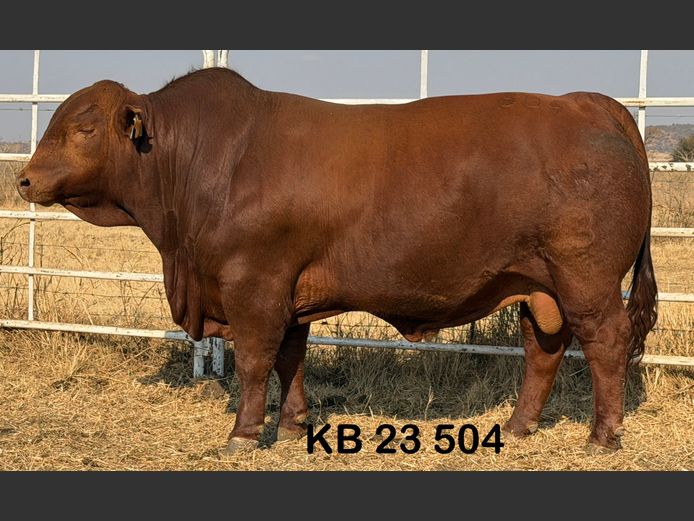 KB23504