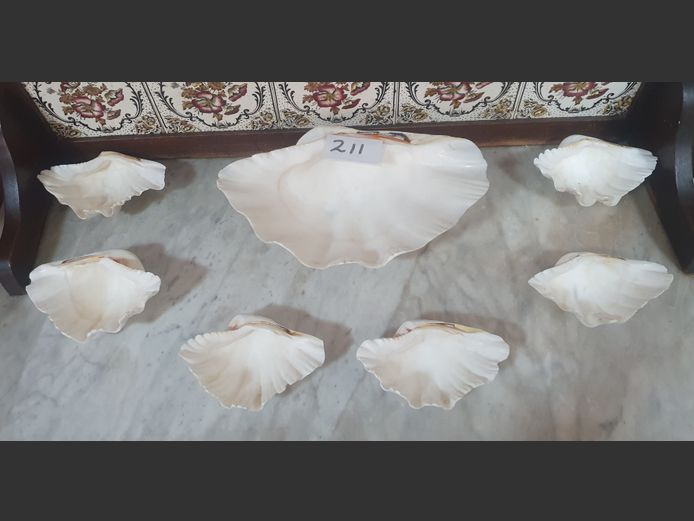 SET OF 7 CLAMSHELLS