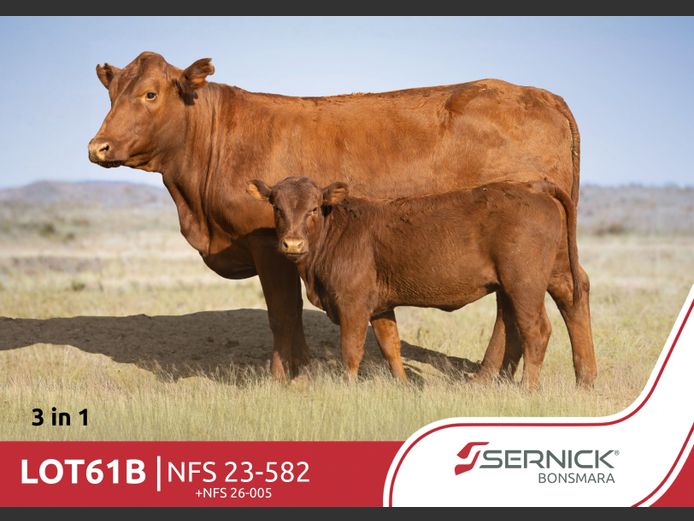 NFS 230582 Pp(c) | SERNICK BONSMARA STOET