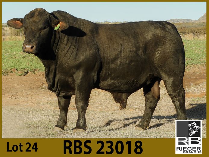 RBS23018 | SHARP MOVE TRADING 95 PTY LTD