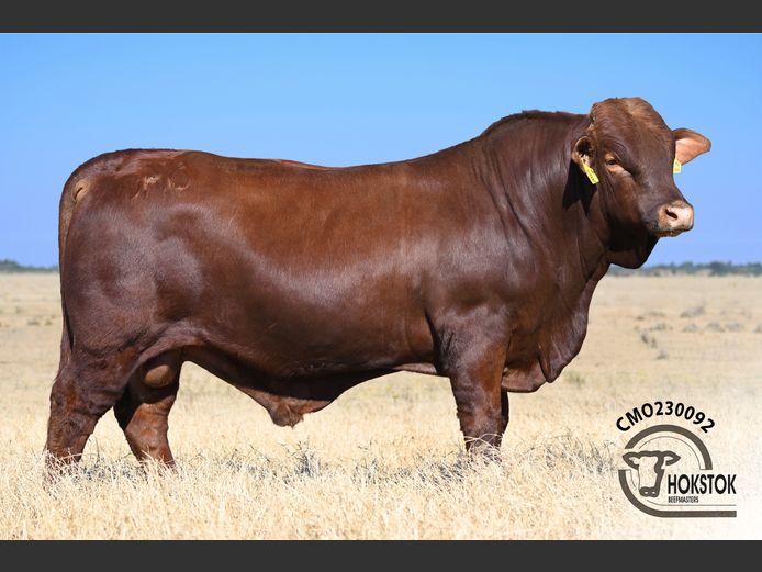 CMO230092 | WILDEHONDEPAN TRUST