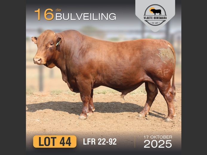 LFR 220092 | LEON RIEKERT & SEUNS