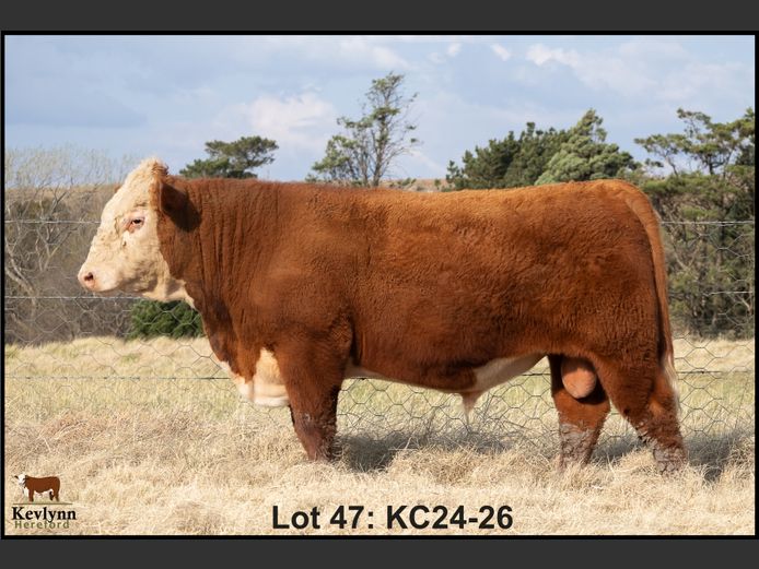KC240026 PcH