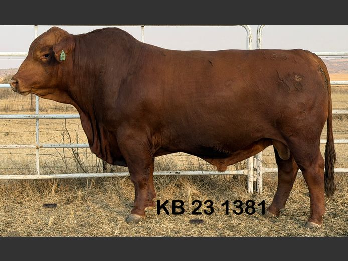 KB231381