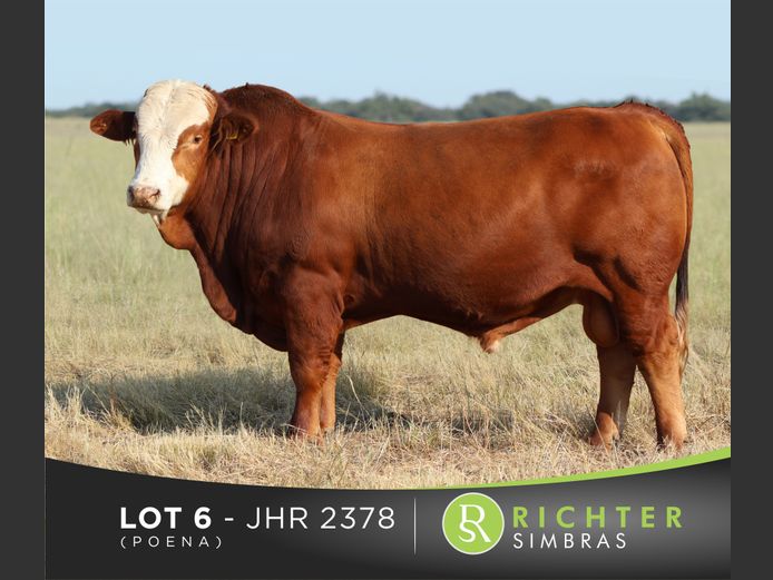 JHR2378