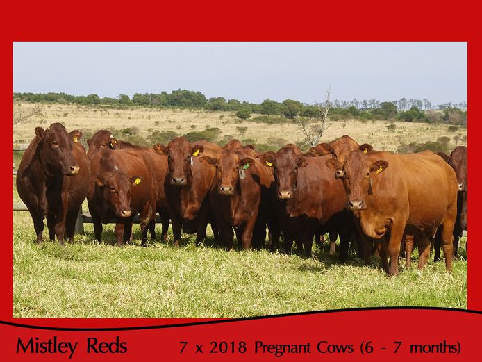 Commercial Animals | Mistley Red - Les Trollope