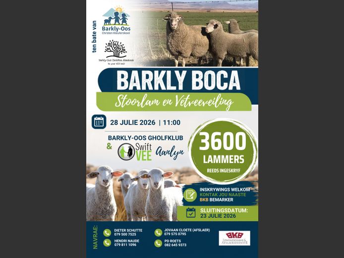 BARKLY BOCA   STOORLAM & VETVEE VEILING