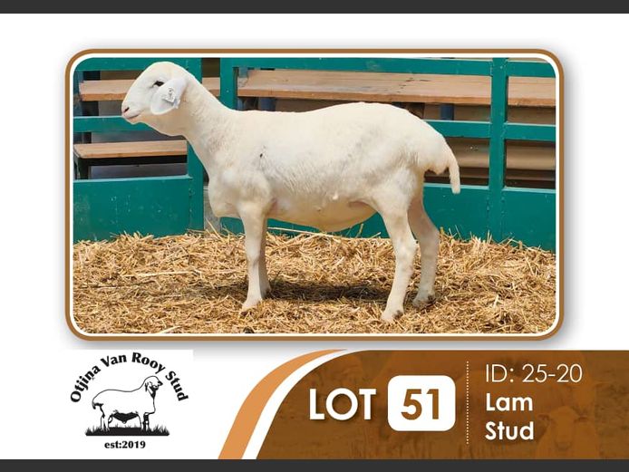 25-020 | BILLY KAZONGANGA