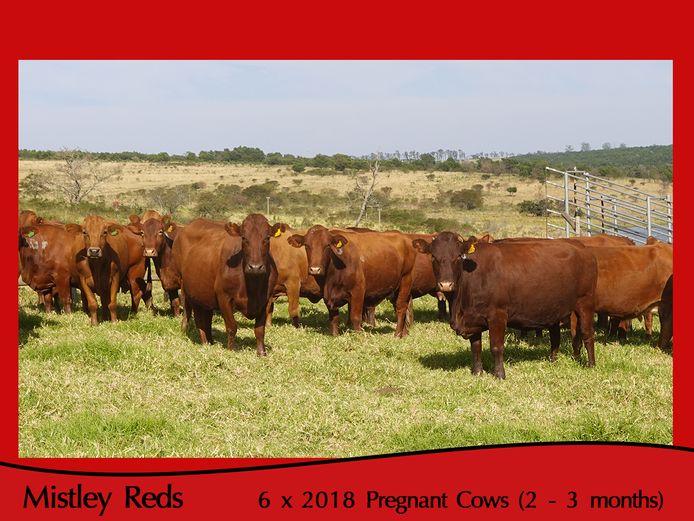 Commercial Animals | Mistley Red - Les Trollope