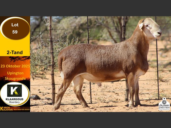 CP 59 | Chris Potgieter & Christia Scholtz - Klaargoud Boerdery