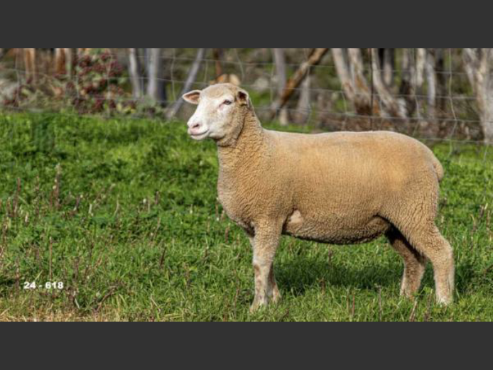JT 240618 | REMKUIL BOERDERY (EDMS) BPK