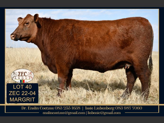 ZEC 220004 | Z.E. COETZEE