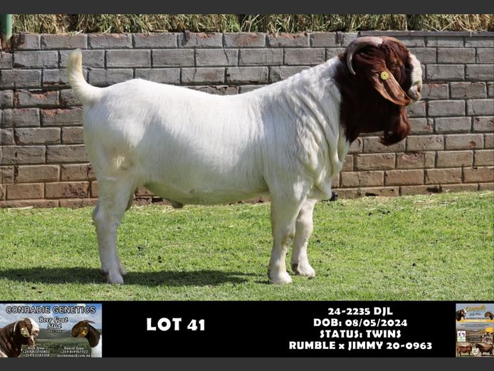 24-2160 DL | DAWID LOUW